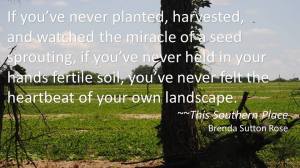 this-southern-place-quote